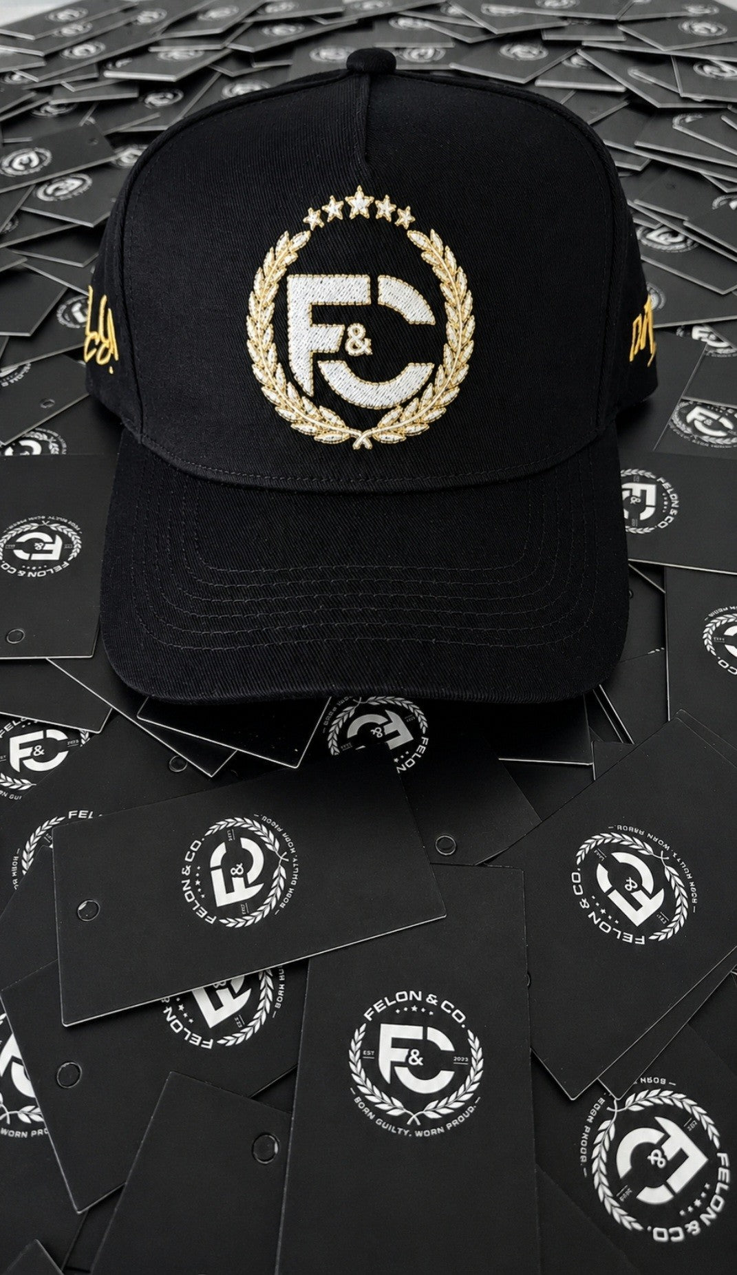 DAY1 — Collection Cap